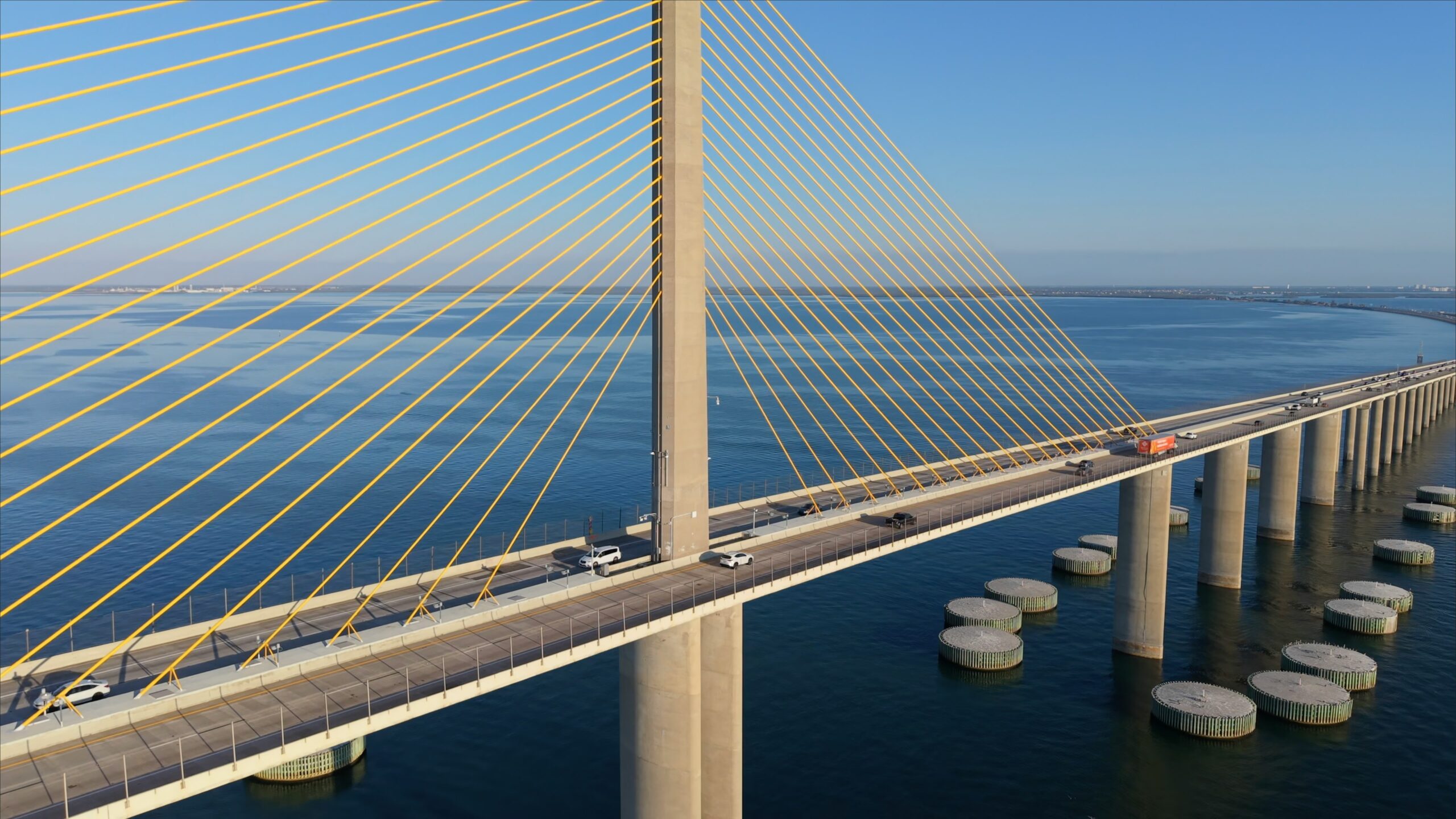 Narcissistic Collapse: Navigating High-Stakes Litigation in the Tampa Legal System