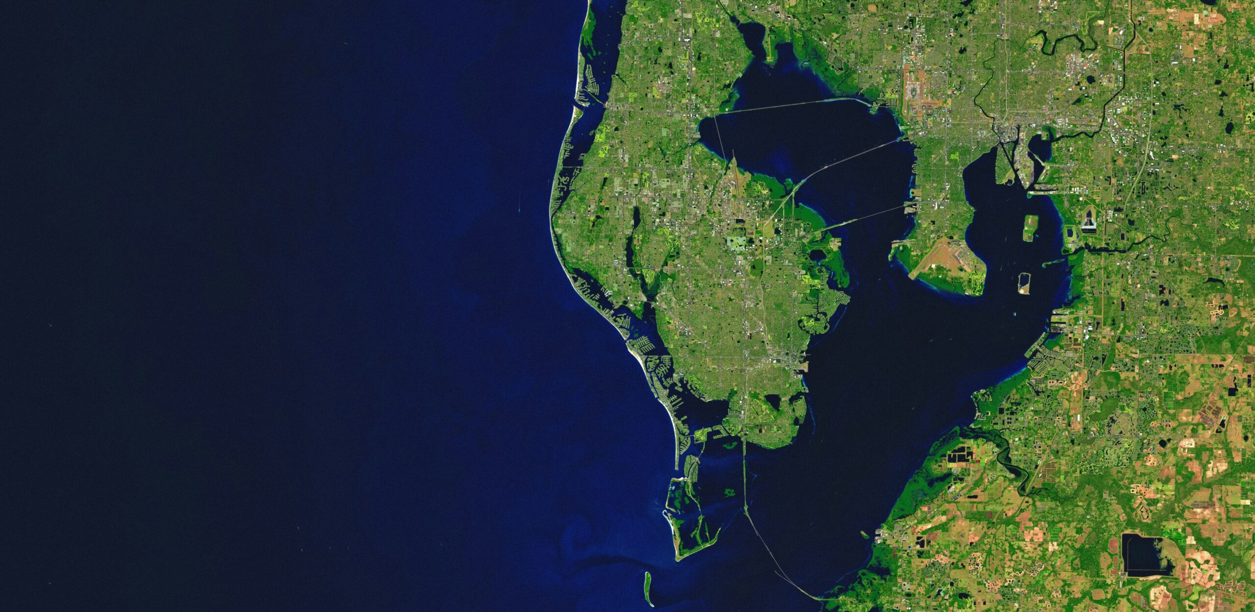 Navigating Mediation with a Narcissist in Tampa: Strategic Legal Insights