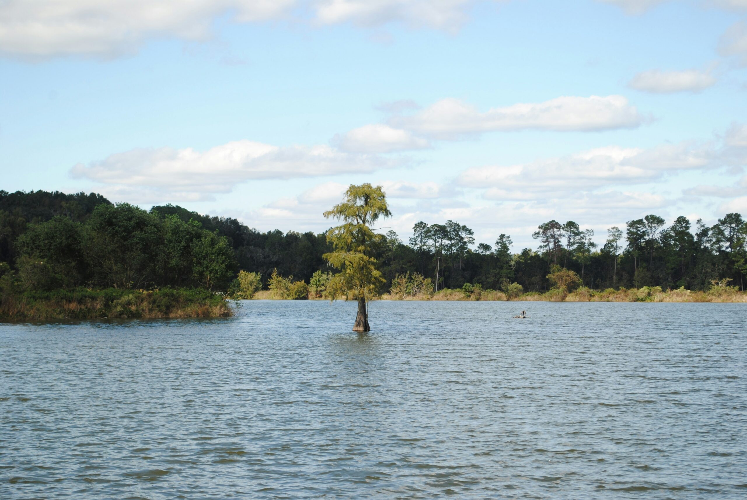 What Gonzalez v. Calles (2024) Means for Child Support Increases and Time-Sharing Modifications in Florida