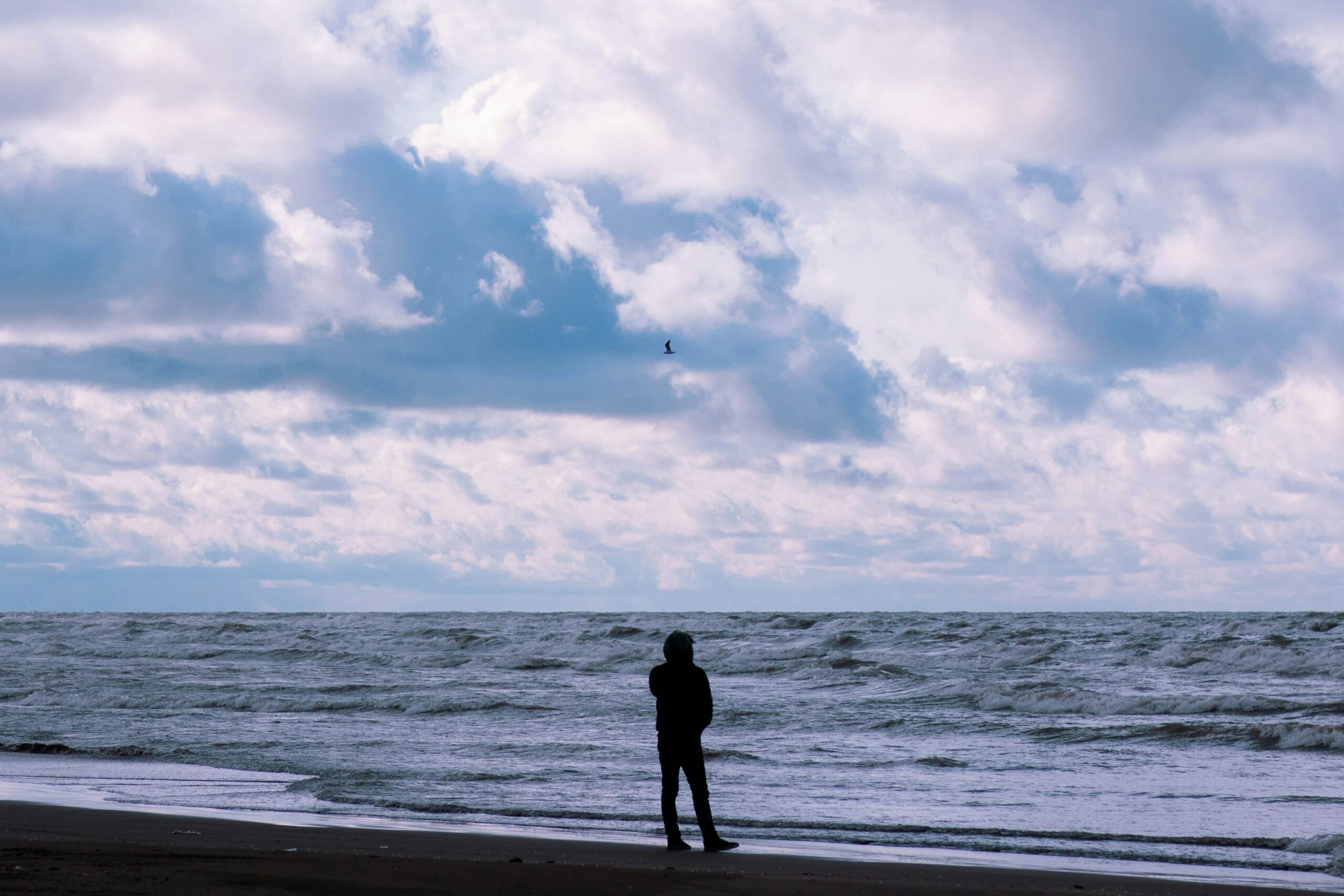 The “Functioning Alcoholic” Spouse: Identifying Hidden Risks in a Tampa Divorce and Protecting Your Children and Assets