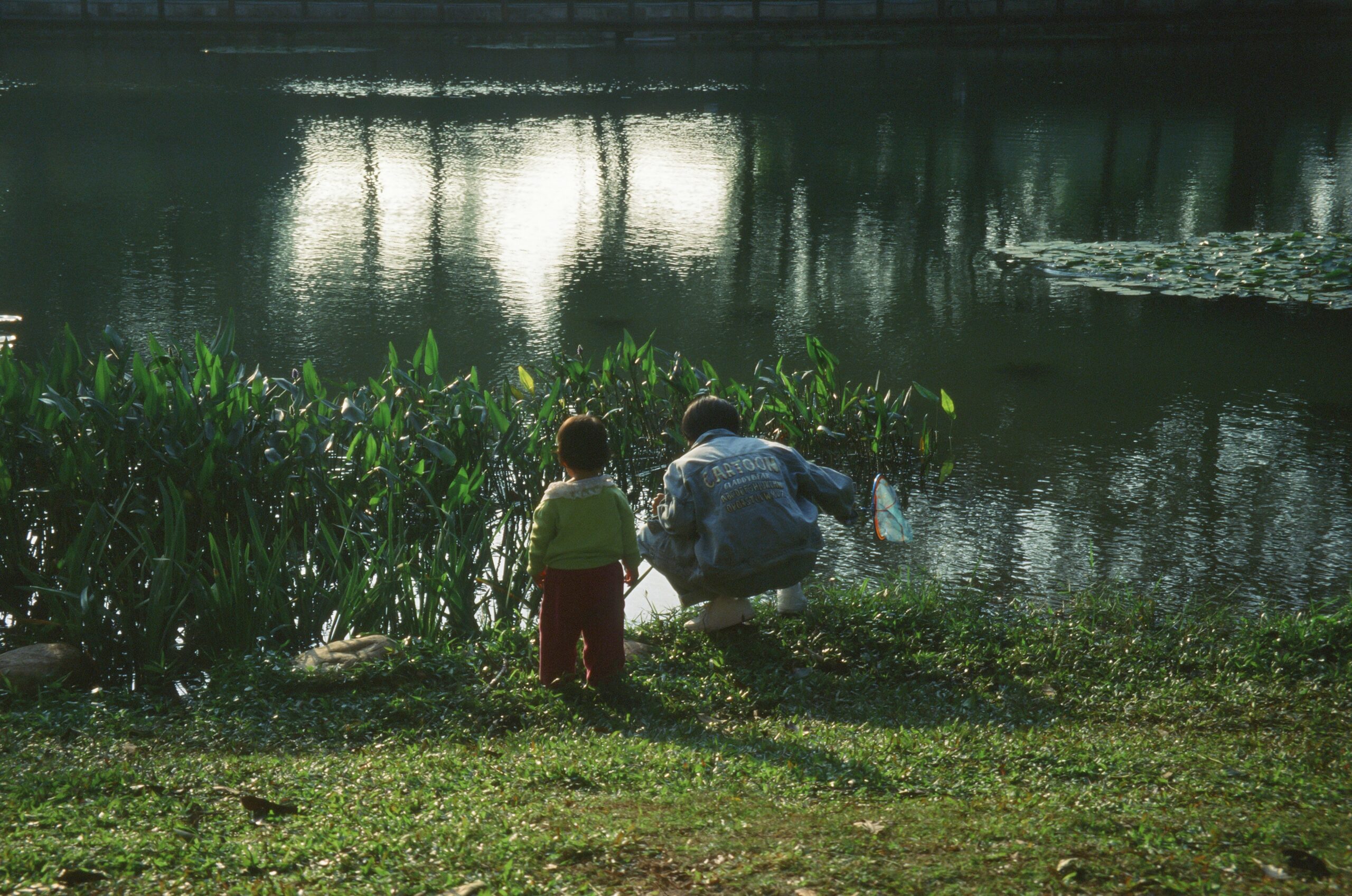 How Social Media Can Affect Your Tampa Child Custody Case