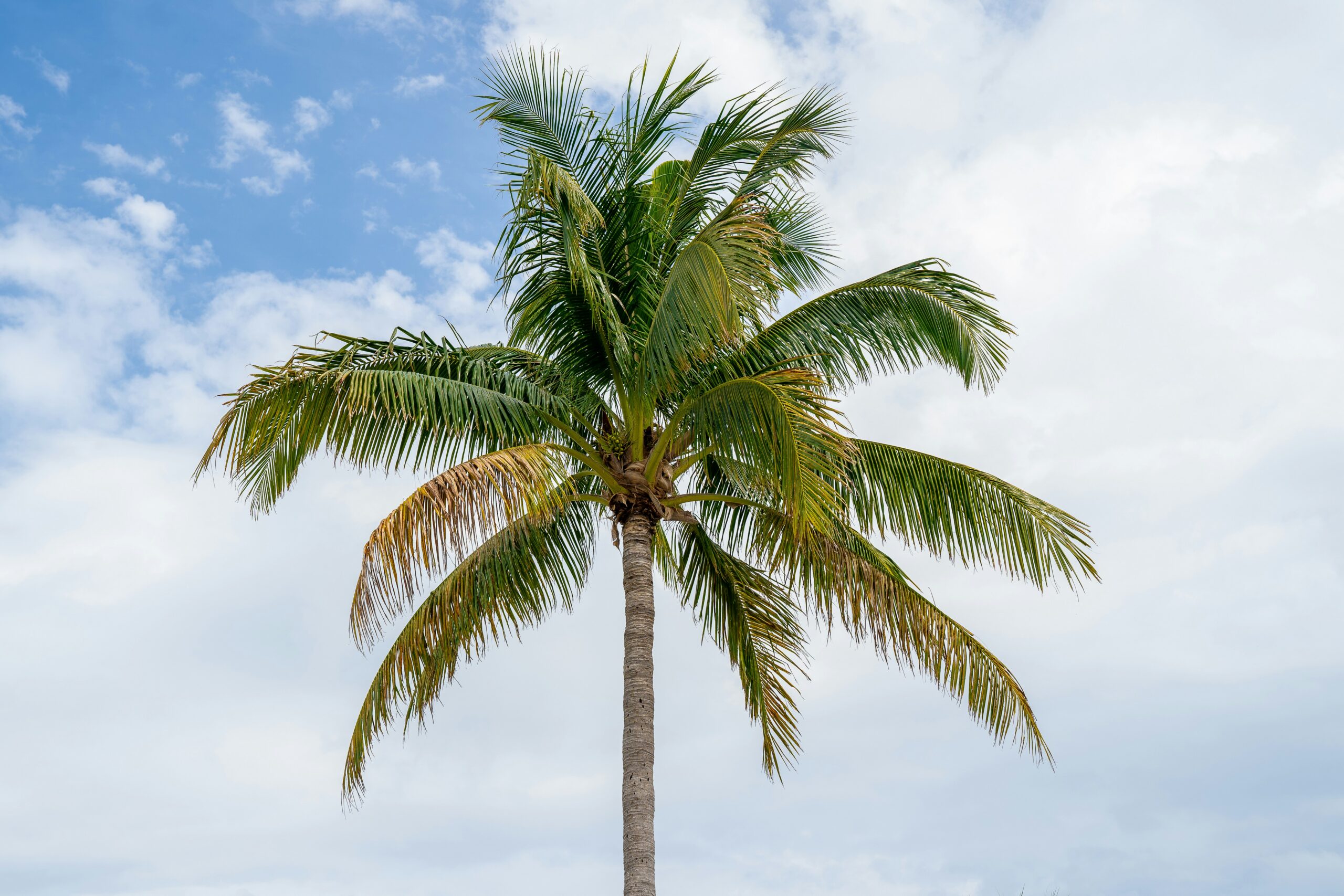 How a Tampa Divorce Lawyer Can Protect Your Assets in a High-Net-Worth Divorce