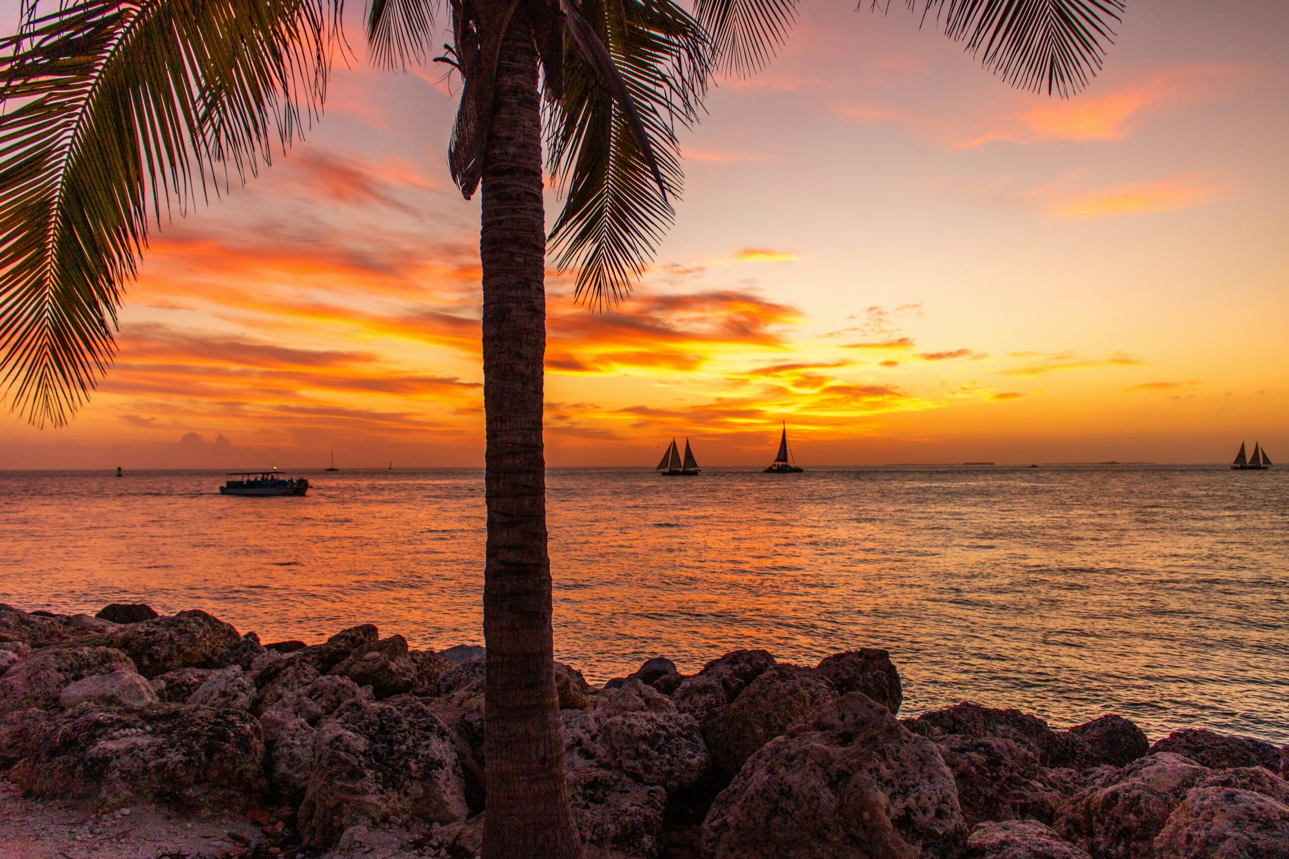 Red Flags to Avoid When Hiring a Tampa Divorce Lawyer: A Complete Guide for Smart Decisions