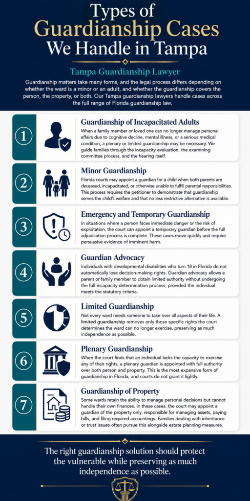 Guardianship Tampa Infographic