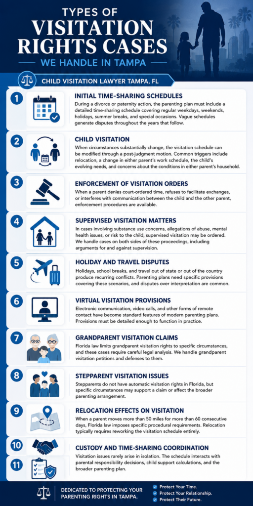 Visitation Rights Tampa Infographic
