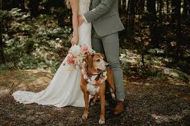 Can a Florida Prenup Decide Who Keeps the Dog If You Divorce?