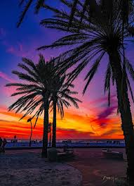 Do Florida Prenuptial Agreements Expire — and What Happens When a Sunset Clause Kicks In?
