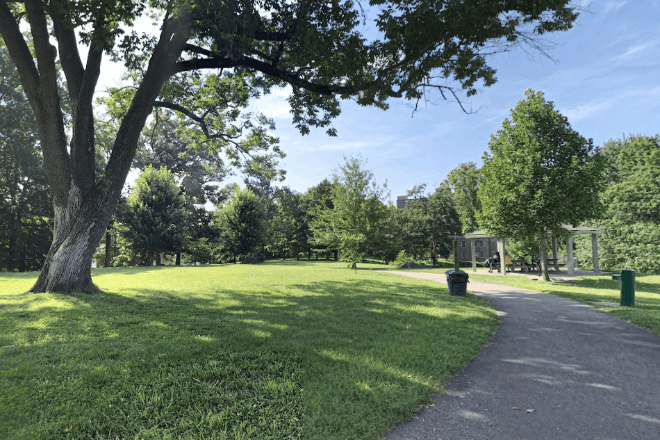 Aston Park Asheville NC geo (2)