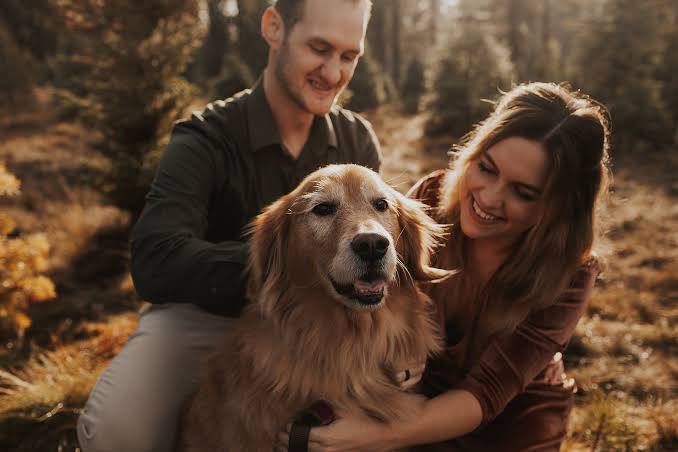 How Does Florida Handle Pet Custody in a Divorce When the Law Treats Your Pet as Property?