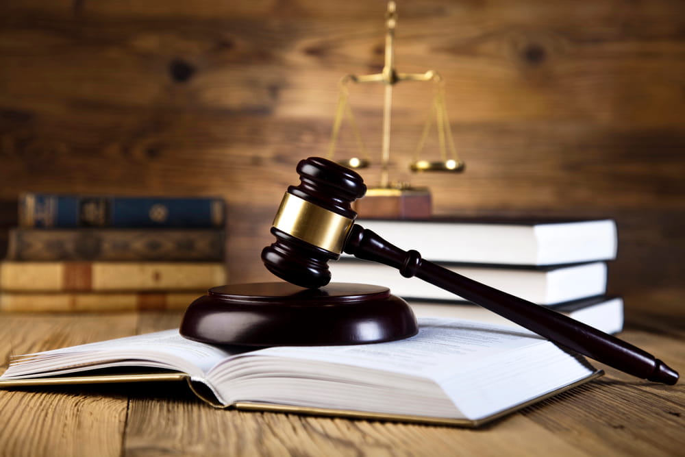 Tampa Domestic Partnership Lawyer
