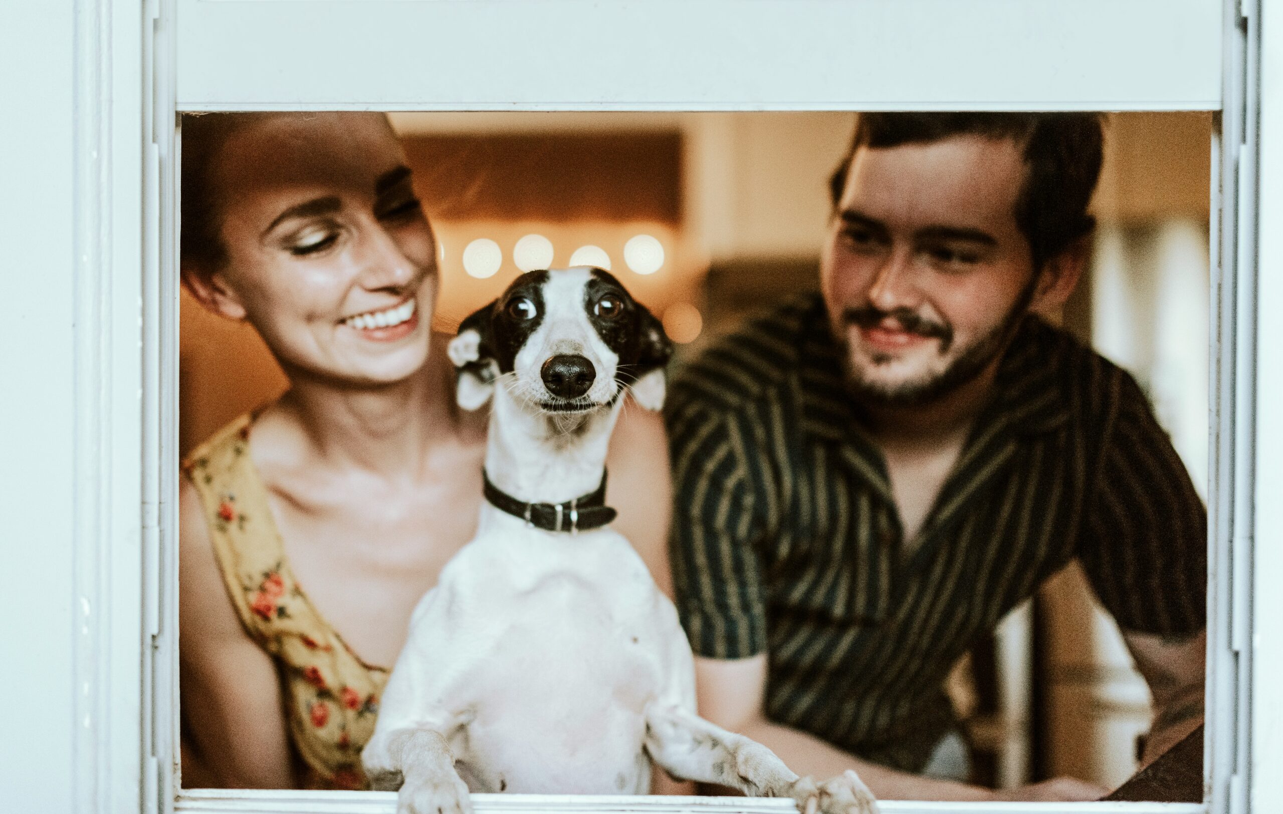 Tampa Postnuptial Agreements: When and Why You Need One