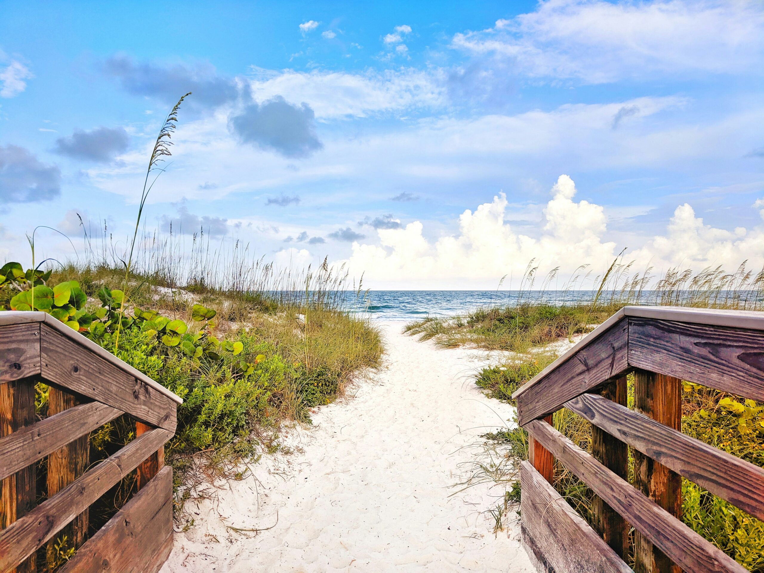 Can a Prenup Waive Your Spouse’s Elective Share in Florida?