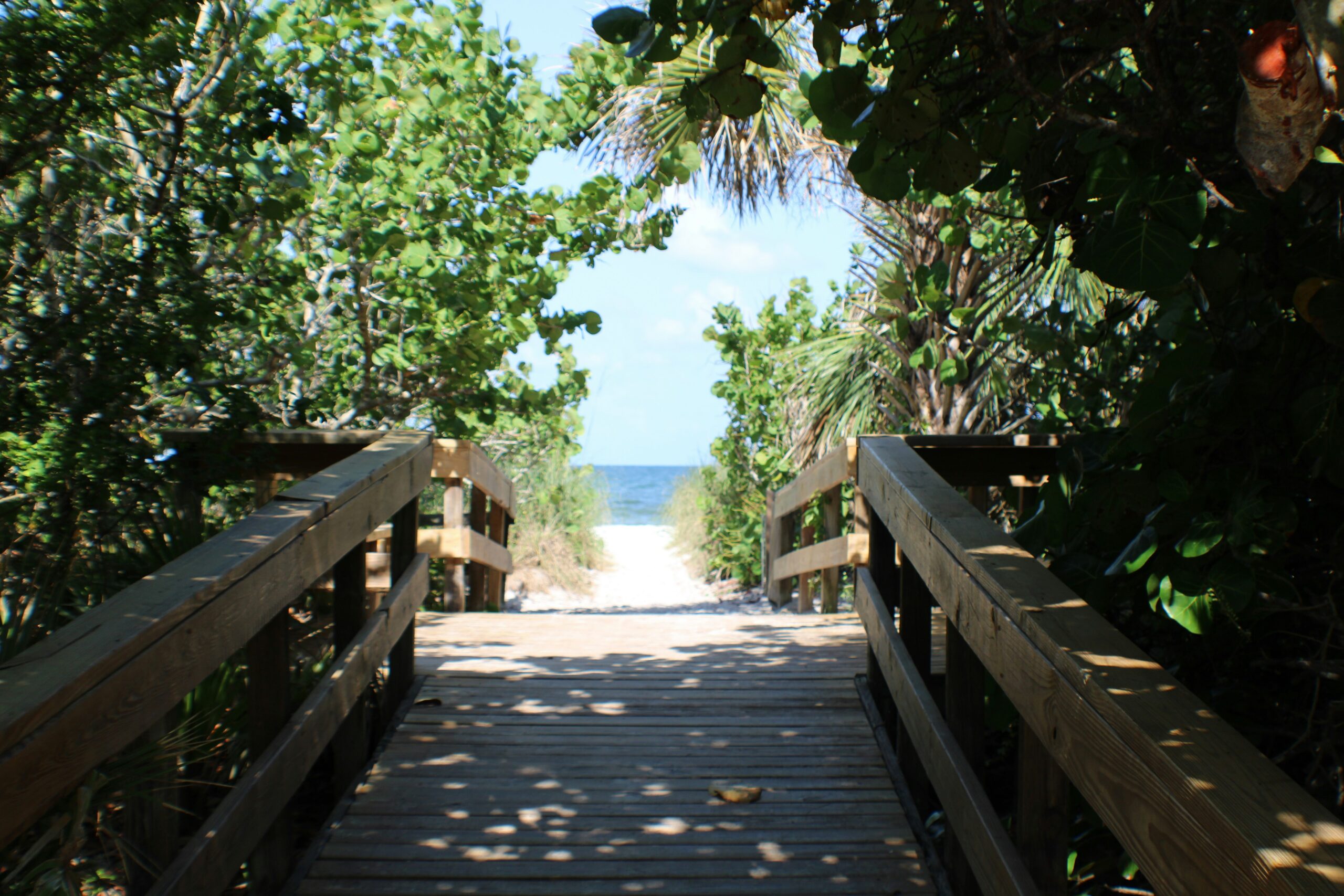 Why Do Both Spouses Need Their Own Lawyer for a Prenup in Florida?