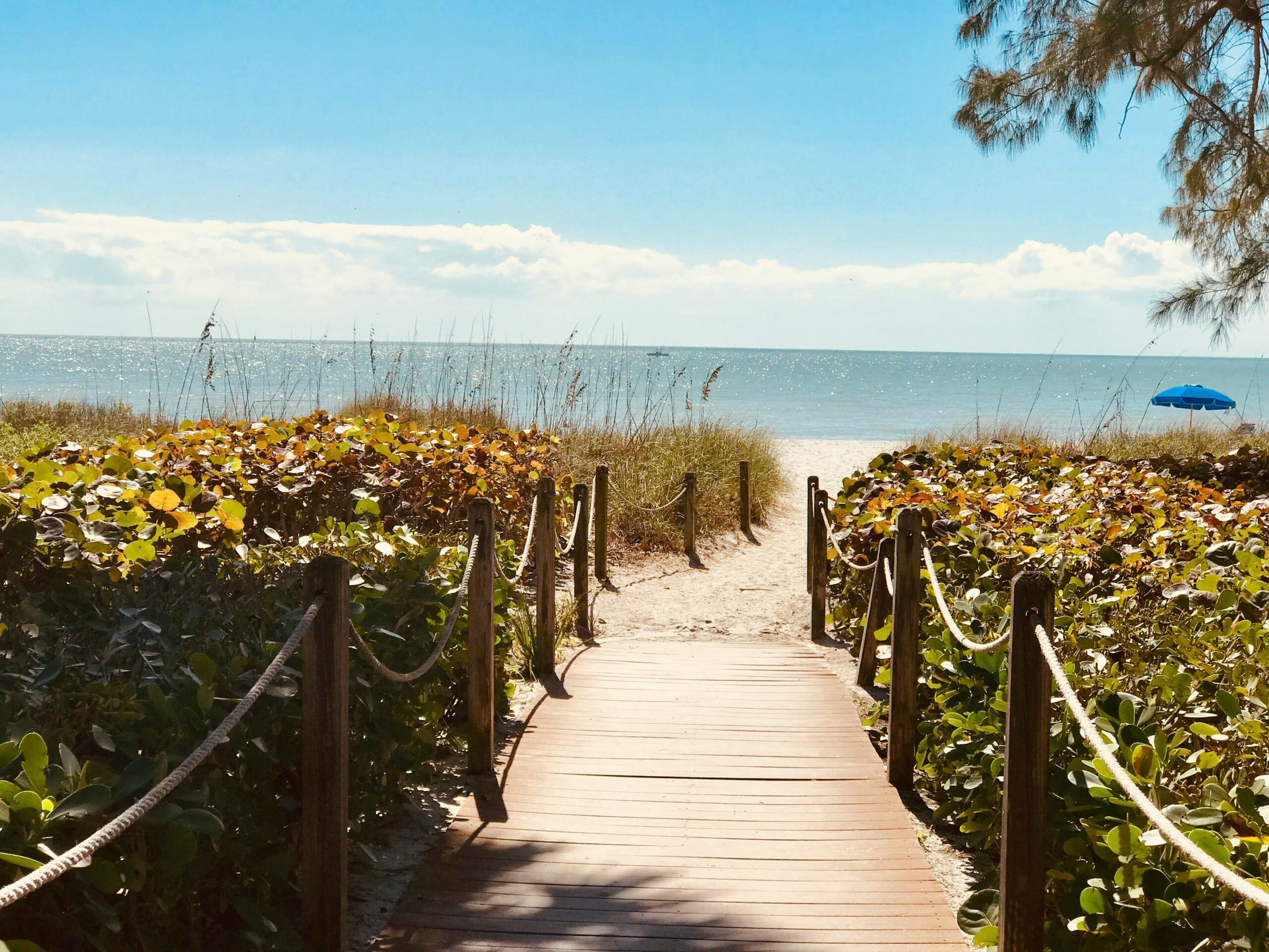 How Should a Tampa Prenup Handle Cryptocurrency, NFTs, and Other Digital Assets?