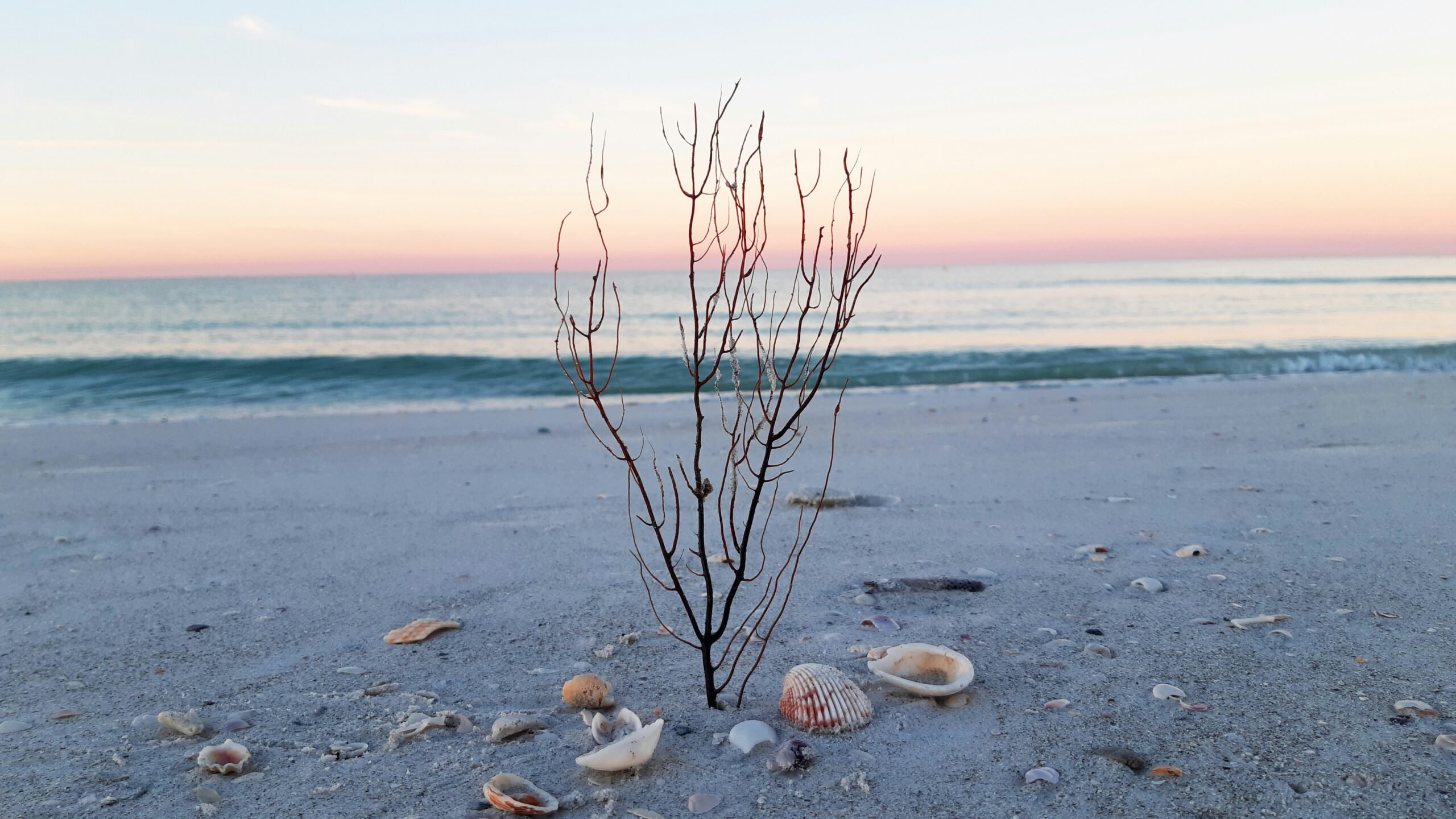 Moving to Florida With an Out-of-State Prenup: Is It Still Valid?