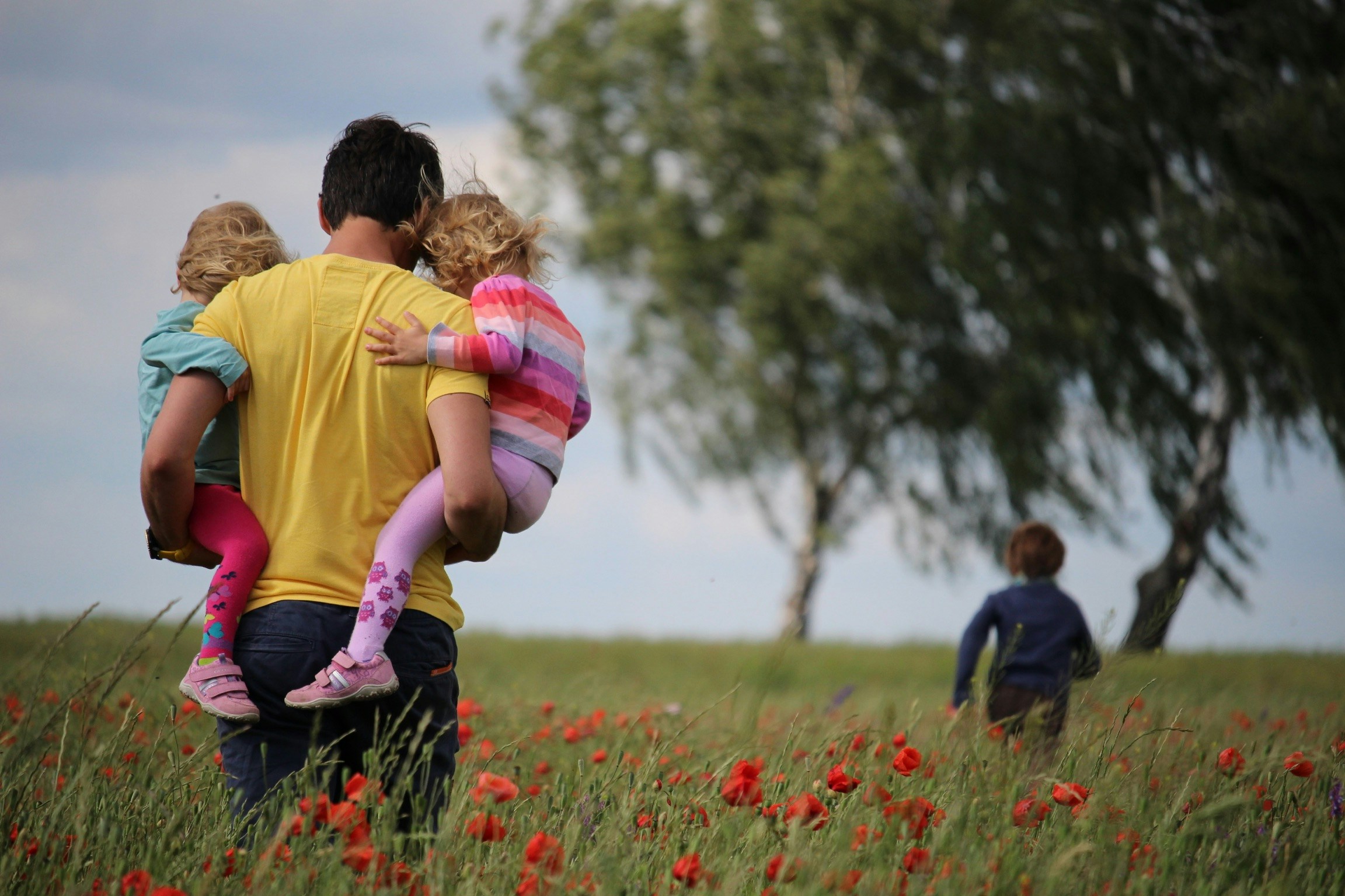What Should Parents Expect From a Social Investigation or Custody Evaluation in Tampa?